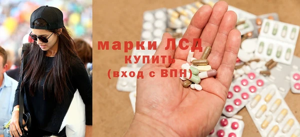 стафф Михайловск