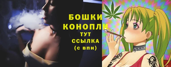 стафф Михайловск