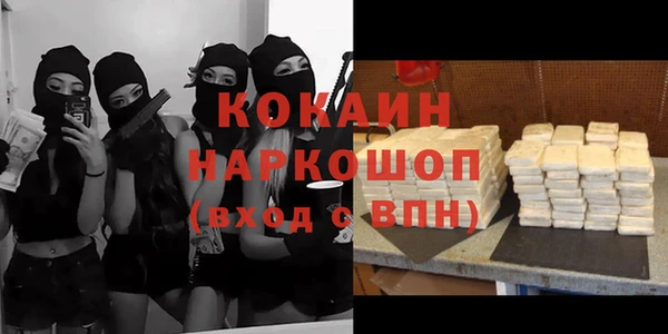 стафф Михайловск