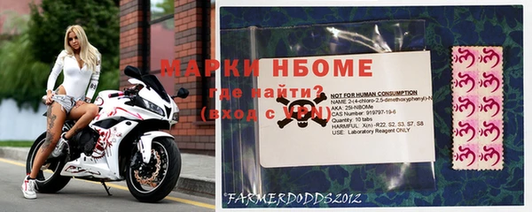 стафф Михайловск