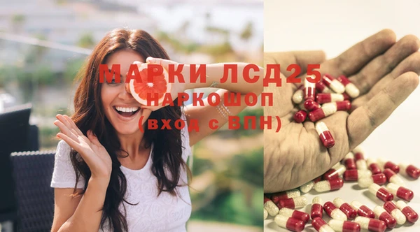 стафф Михайловск